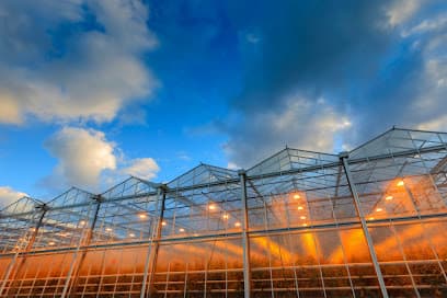 Pieffers Kas Fundatie foto 2