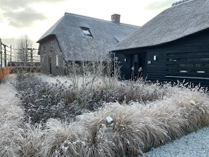 Gregor van den Elzen Rietdekkersbedrijf B.V. foto 1