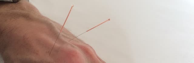 Alex Meulenbroeks Onderneming foto 6