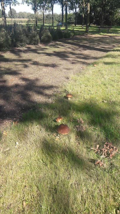 Aannemersbedrijf G. de Wilde B.V. foto 3