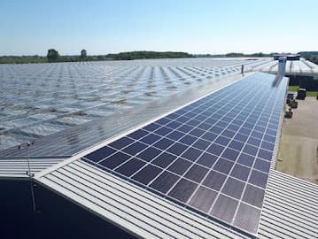 Roose & Roose B.V. foto 1