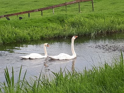 Installatiebedrijf M. van Zoest foto 3