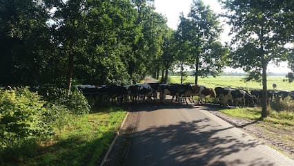 F.H. Veenstra foto 3