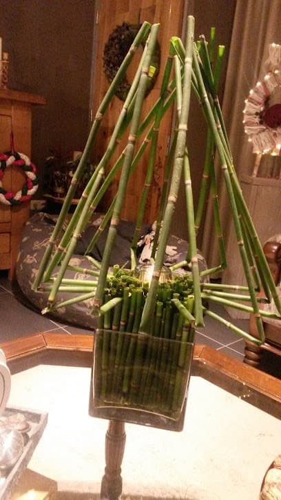 Adriaens Molenbouw Weert B.V. foto 1