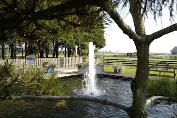 Sapor Tuinberegening B.V. foto 1