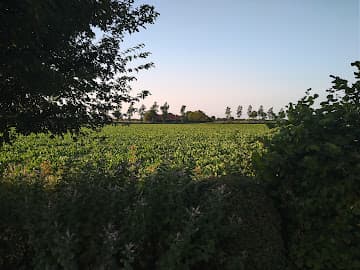 Bert Nieuwenhuis Tegeltechniek foto 1