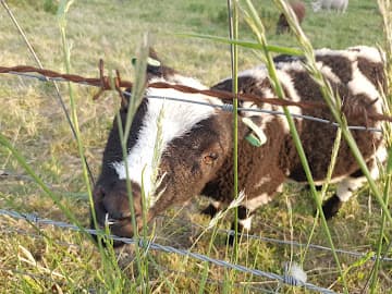 D.R.S. de Lange V.O.F. foto 1