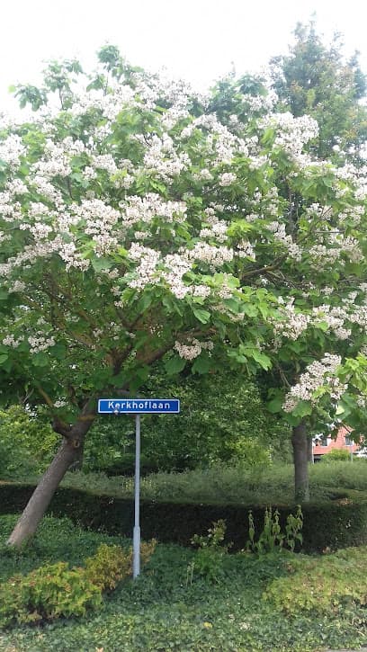 BREED Ondernemingen B.V. foto 1