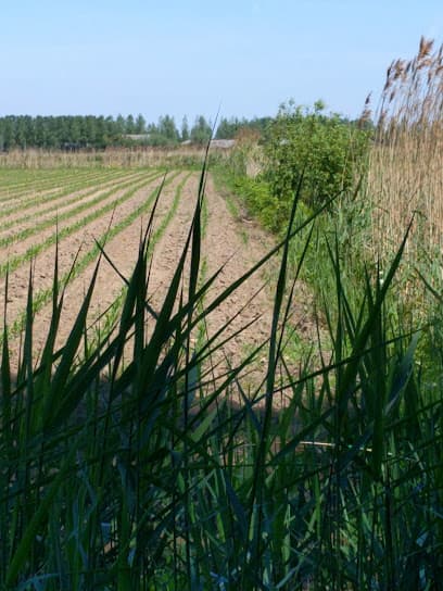 Installatiebedrijf van den Dungen foto 3