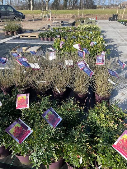 Garden Design foto 5