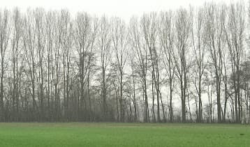 Aangenaam Wonen foto 1