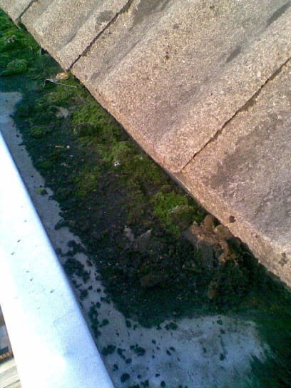 Dakgoot Specialist foto 2