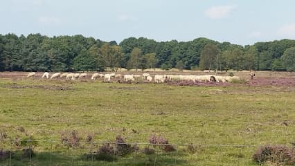 Verhuurbedrijf Davelaar foto 3