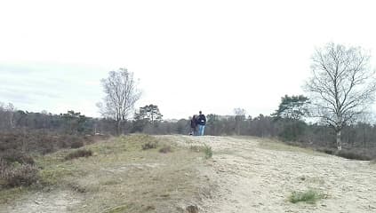 Stucadoorsbedrijf R. van den Broek foto 1