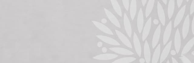 Eterno Minerals of the World B.V. foto 3