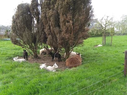 Schildersbedrijf Vliem B.V. foto 1