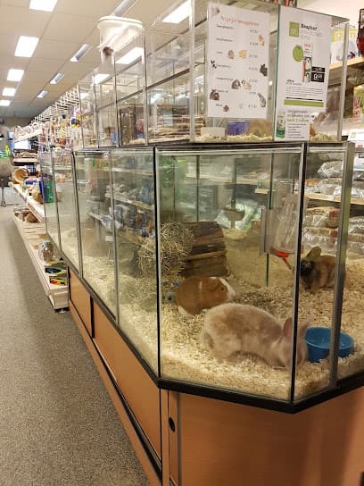 Dierenspeciaalzaak Steintjes foto 3