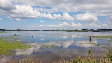 Aannemings- en Verhuurbedrijf Spithorst foto 1