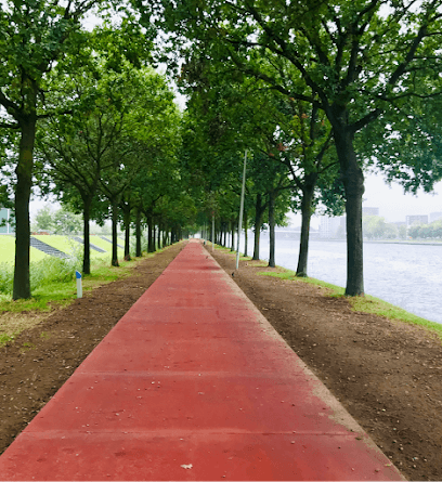 Easypath Nederland B.V. foto 3