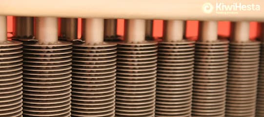 Kiwihesta B.V. foto 2