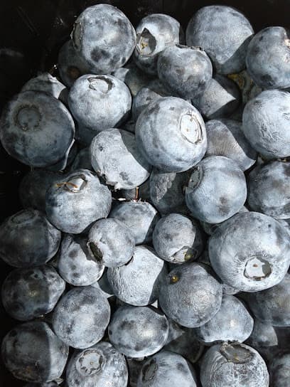 Loonbedrijf P. van der Linde B.V. foto 1