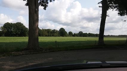 Kosse Asbestverwijdering B.V. foto 3