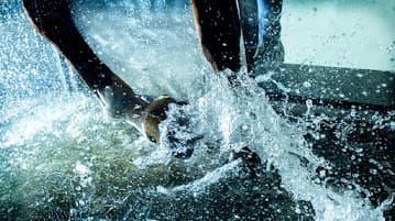 Paco Horse Products foto 1