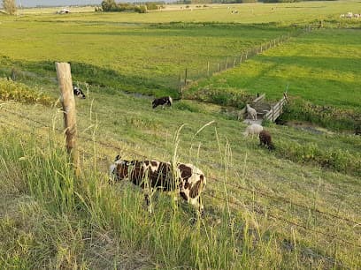 D.R.S. de Lange V.O.F. foto 2