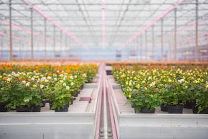 Kees Greeve B.V. foto 1