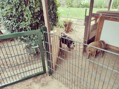 Rijmontage V.O.F. foto 1