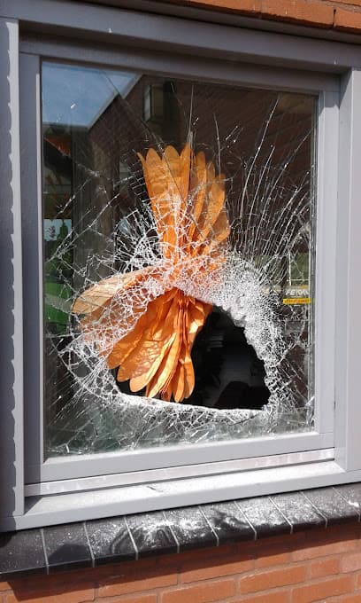 Schildersbedrijf Flos B.V. foto 3