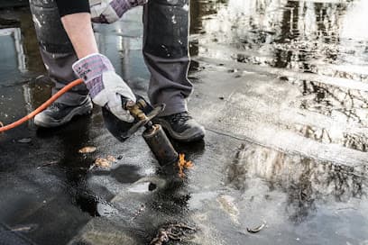 Sanidrome Hofland foto 2