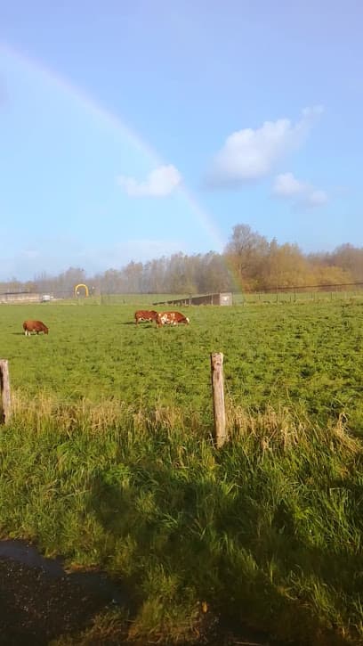 Aannemingsbedrijf H. Schurg B.V. foto 2