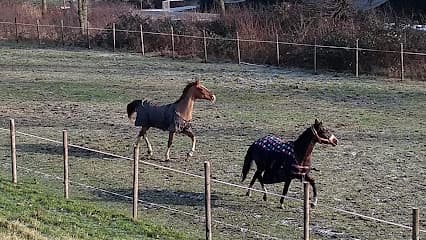 Loon- en Verhuurbedrijf Frank van Rooijen B.V. foto 1