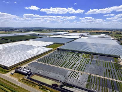 Tuinbouwloonbedrijf Knuiman foto 3