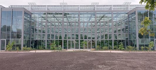 Mipatio Leeuwarden B.V. foto 3