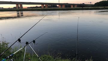 B & P Dakdekkersbedrijf B.V. foto 1