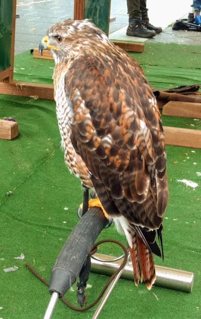 Henitech B.V. foto 2