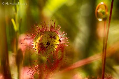 Aannemersbedrijf Maaijen foto 2