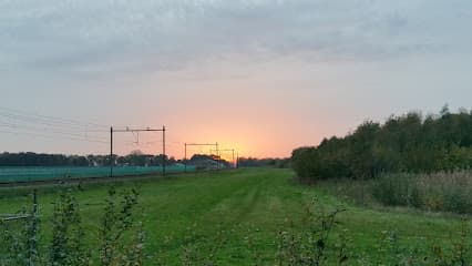 Boomkwekerij De Lange Akker foto 1