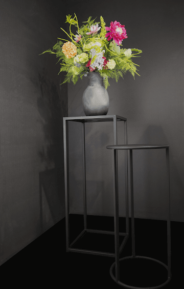 PF Group B.V. foto 1