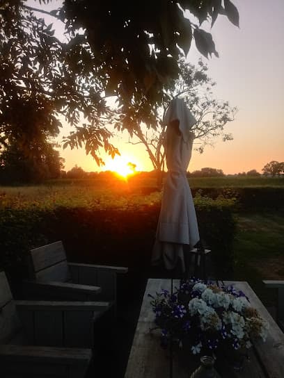 H. v. Ginkel Rietdekkersbedrijf foto 1