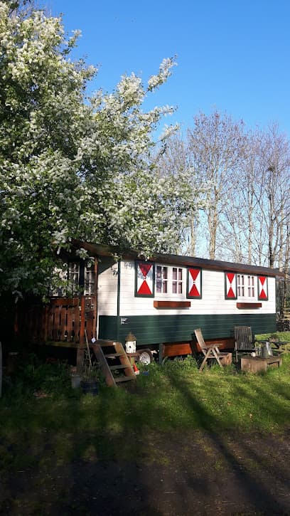 Pipowagens op Maat foto 1