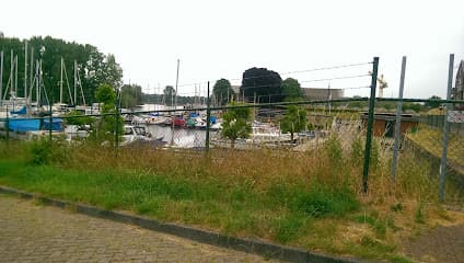 Theunissen Tuinplanten Tuinaanleg foto 2