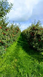 Pellegrom en Van Mourik V.O.F. foto 2