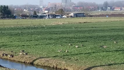 Timmerbedrijf M.A. Groeneveld foto 1